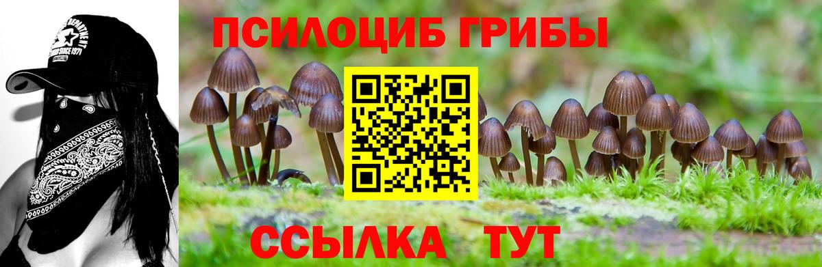 Галлюциногенные грибы мицелий  Вход с VPN  Альметьевск 