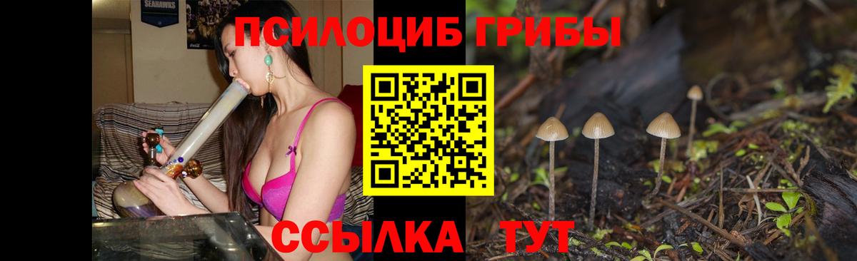 Галлюциногенные грибы Magic Shrooms Альметьевск